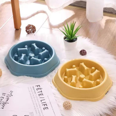 Chat curieux explorant la gamelle anti glouton chat avant de manger