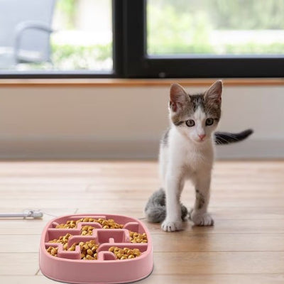 Chat qui mange proprement sans renverser grâce à la gamelle anti glouton chat