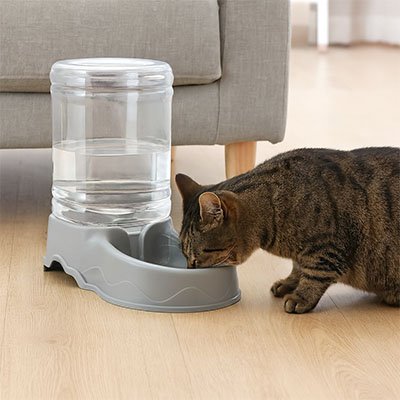Distributeur de croquettes pour chat efficace
