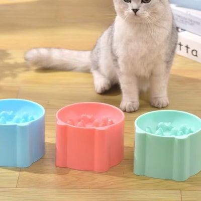 Gamelle anti glouton chat compacte et parfaite pour la maison ou le voyage