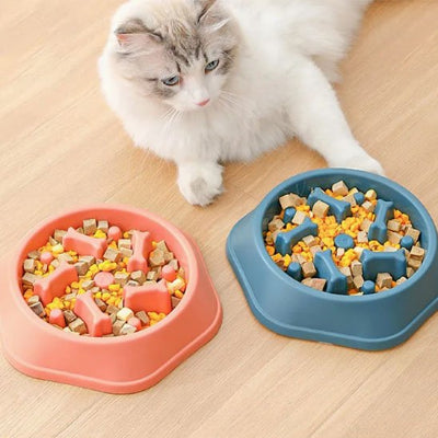 Chat heureux et détendu qui mange tranquillement dans sa gamelle anti glouton chat