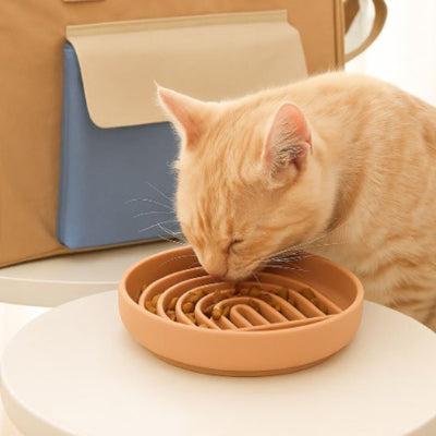 Gamelle anti glouton chat hygiénique et facile à nettoyer