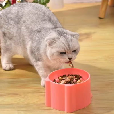 Gamelle anti glouton chat pratique et légère, facile à déplacer