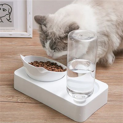 Gamelle chat confortable pour un repas calme et plaisant