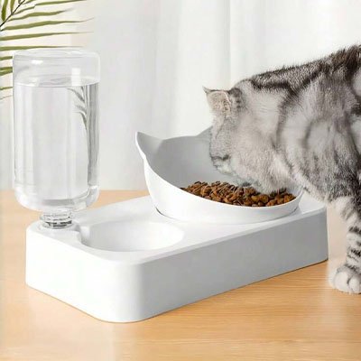 Gamelle chat pour eau et croquettes au quotidien