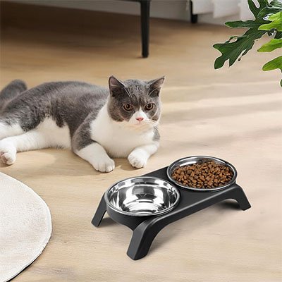 Gamelle chat surélevée idéale pour chats âgés ou sensibles