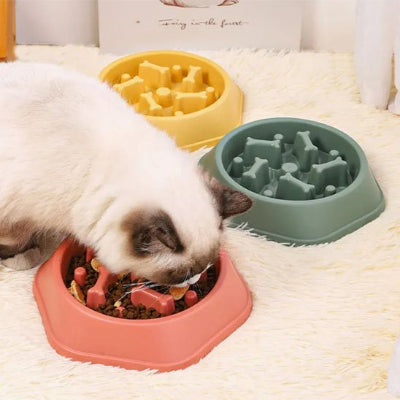 Moment de détente pour chat qui apprécie sa gamelle anti glouton chat
