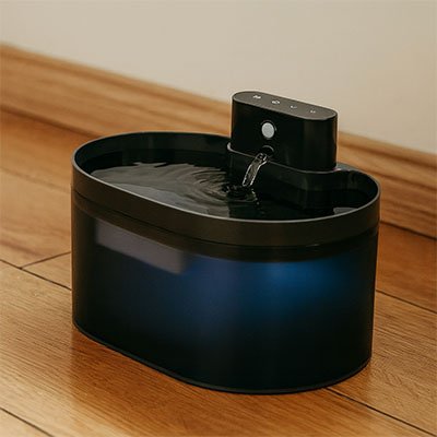 accessoire pour hydratation fontaine a eau chat