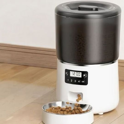 Chat concentré sur son repas dans le distributeur