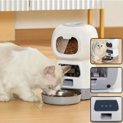 Chat en train de lécher le bol du distributeur de croquettes pour chat
