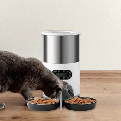 Chat heureux qui mange avec le distributeur automatique pour chat