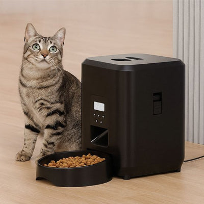 Chat heureux qui mange avec son distributeur de croquettes pour chat