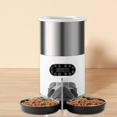 Chat qui attend ses croquettes du distributeur automatique pour chat
