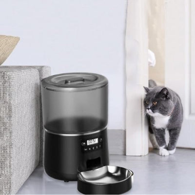 Chat qui mange calme et heureux devant le distributeur