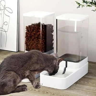 Chat qui mange dans un distributeur de croquettes pour chat