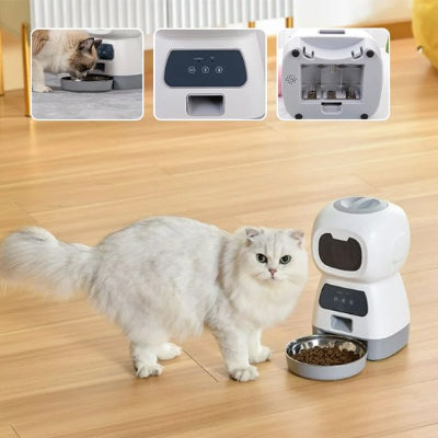 Chat qui mange devant son distributeur de croquettes pour chat