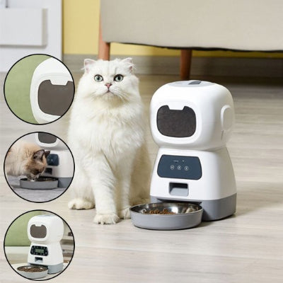 Chat qui mange ses croquettes calme et heureux devant le distributeur pour chat
