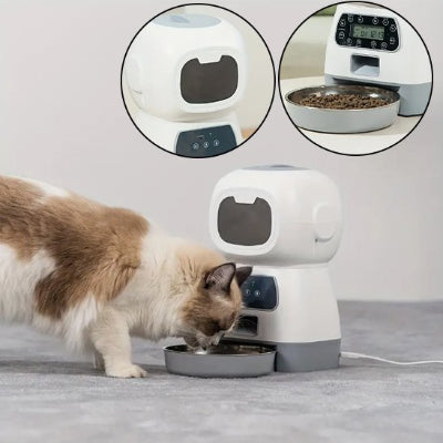 Chat qui mange son repas dans le distributeur de croquettes pour chat
