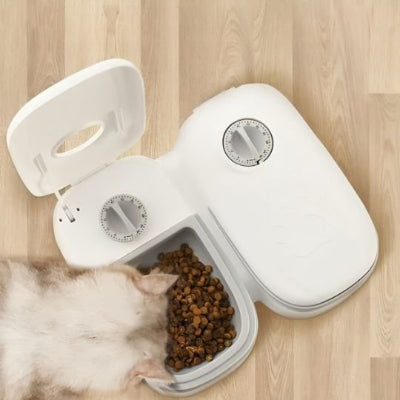 Chat qui prend son repas devant le distributeur de croquettes pour chat