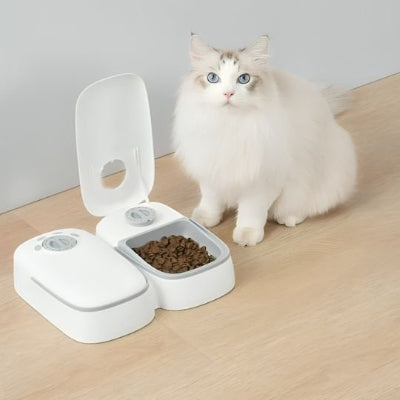 Chat qui profite de son repas devant le distributeur pour chat