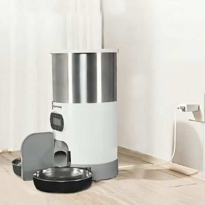 Chat qui savoure ses croquettes dans le distributeur automatique pour chat