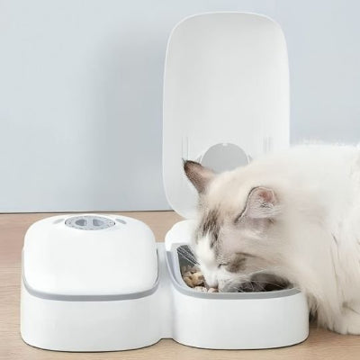 Chat qui se nourrit avec le distributeur de croquettes pour chat