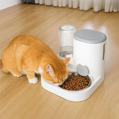 Chat qui termine son repas grâce au distributeur de croquettes pour chat