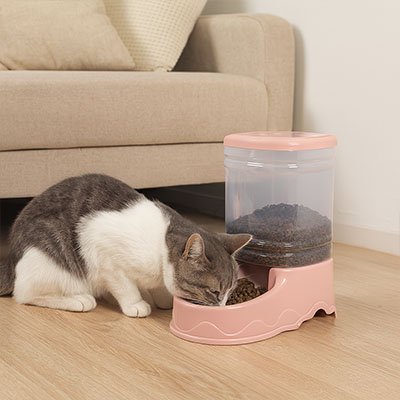 Distributeur de croquettes pour chat maison