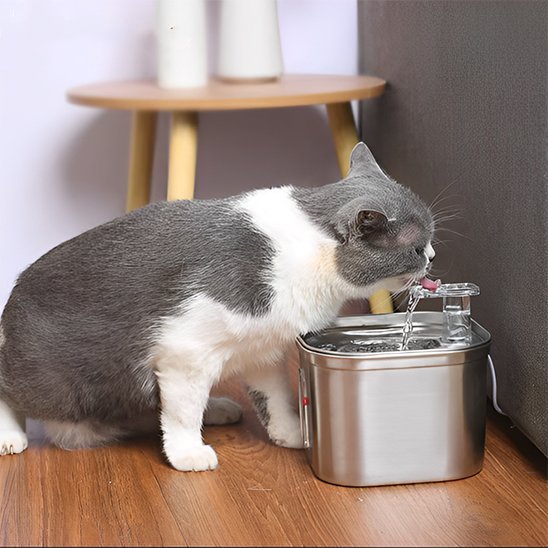 Fontaine a eau chat | FraîchVital - Ma boutique