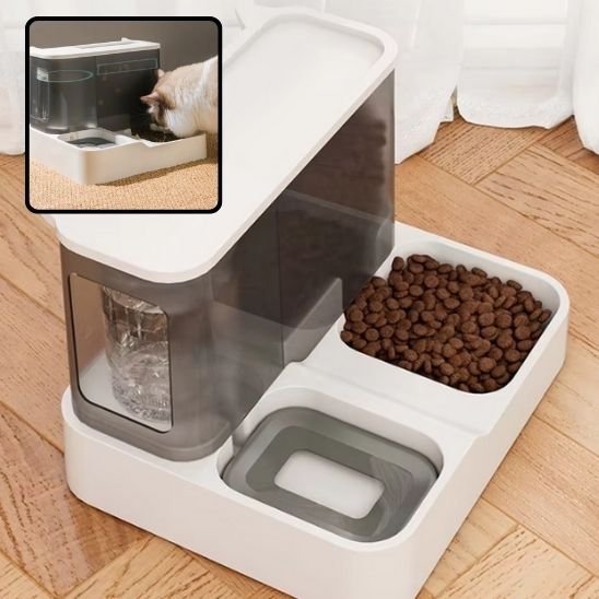 Distributeur de croquettes pour chat | AutoFeed