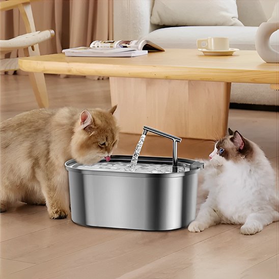 FONTAINE A EAU CHAT | Inox Santé Premium