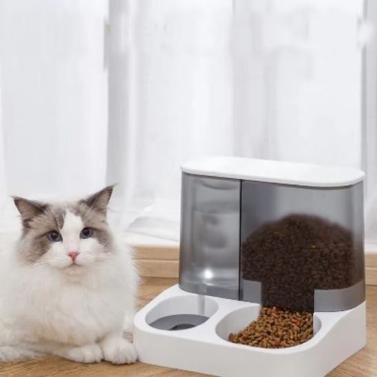 Distributeur de croquettes pour chat | AutoFeed