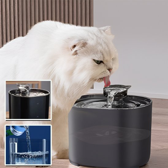 Fontaine Ă eau chat | Cascade Premium
