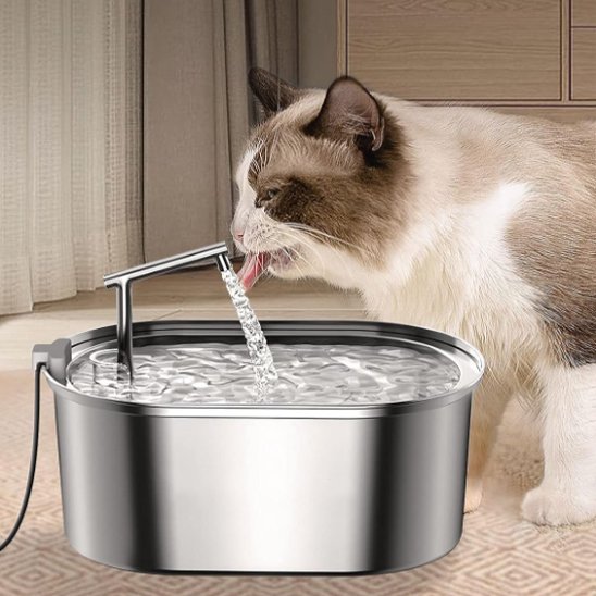 FONTAINE A EAU CHAT | Inox Santé Premium