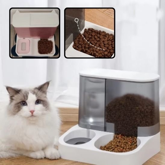 Distributeur de croquettes pour chat | AutoFeed