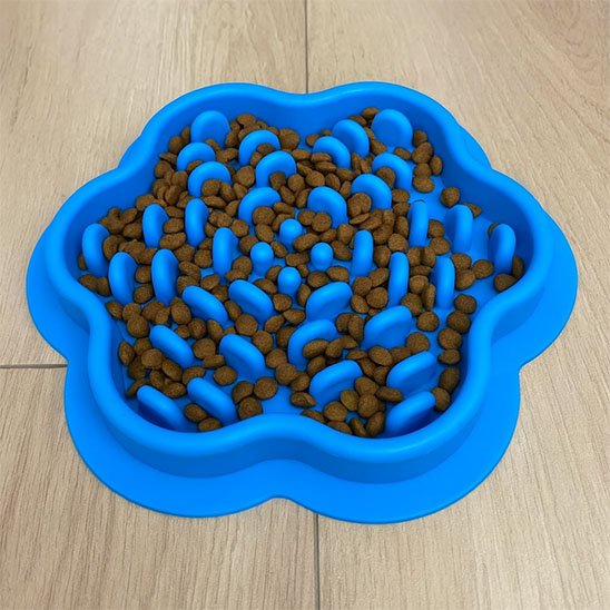 gamelle anti glouton Chat | FeliFast