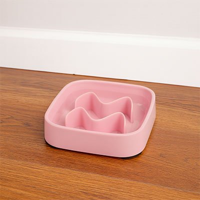 Gamelle anti glouton Chat | DigestControl
