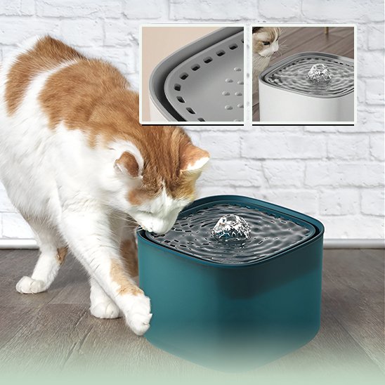 Fontaine à eau chat | Anti-déshydratation