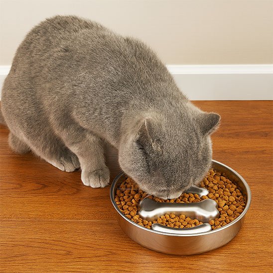 Gamelle anti glouton chat | DigestCare