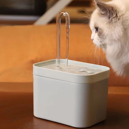 Fontaine eau chat | Silencia
