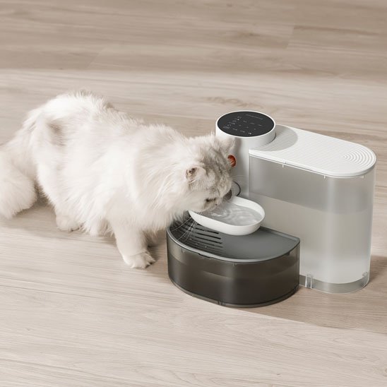 FONTAINE A EAU CHAT | SilencioFlow