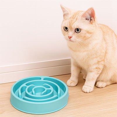 Gamelle anti glouton chat | SlowFeast