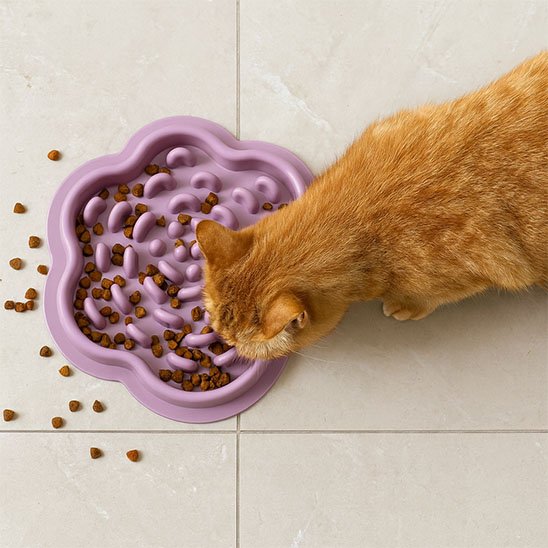 gamelle anti glouton Chat | FeliFast