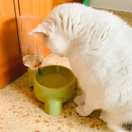 Distributeur eau chat | HydraFresh