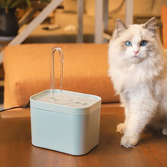 Fontaine eau chat | Silencia