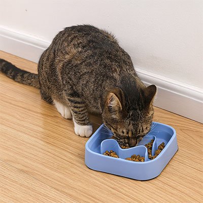Gamelle anti glouton Chat | DigestControl