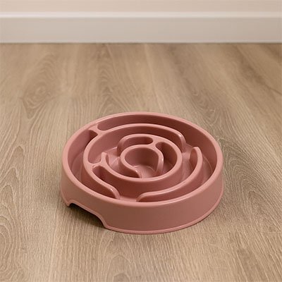 Gamelle anti glouton chat | SlowFeast