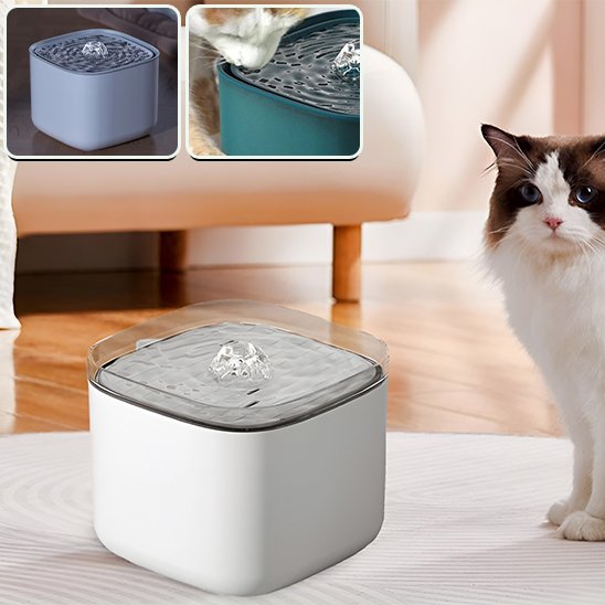 Fontaine à eau chat | Anti-déshydratation