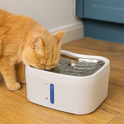 FONTAINE A EAU CHAT | PureFlow