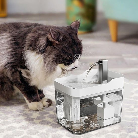 FONTAINE A EAU CHAT| FéliFresh